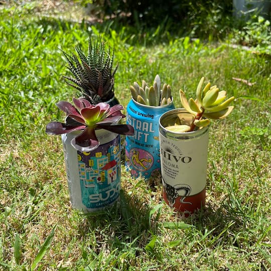 Can With Plants | Drinking Board Game